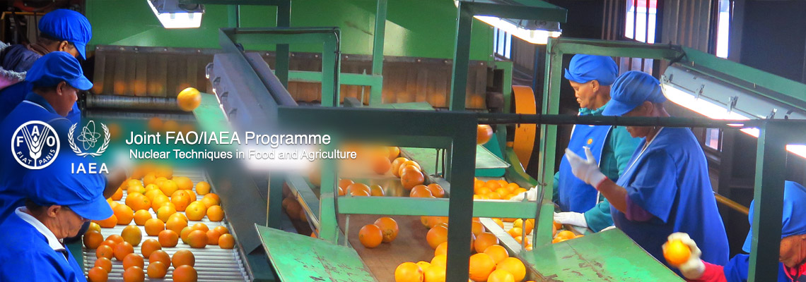 Food control | IAEA