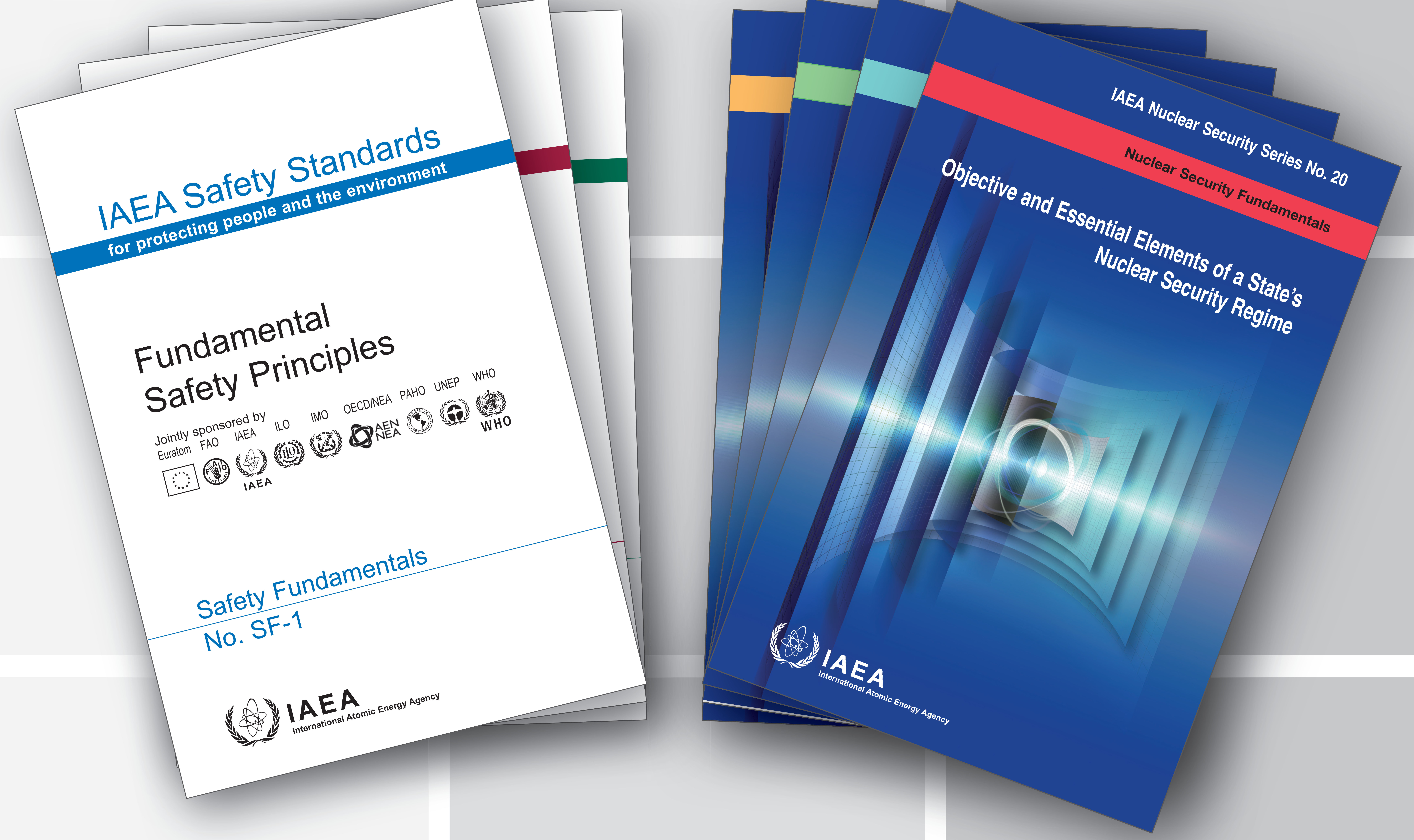 Iaea Taleo