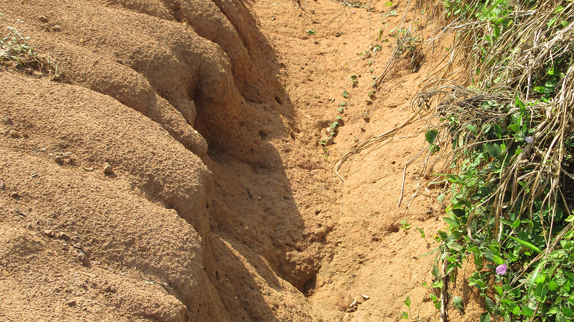 Nuclear Techniques Help Reveal High Rate of Soil Erosion in Benin | IAEA