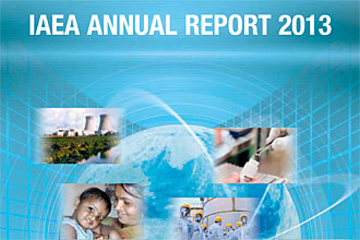 Annual Report for 2013