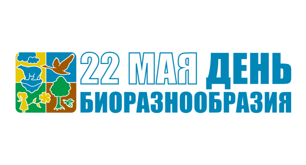 22 мая день биологического разнообразия картинки