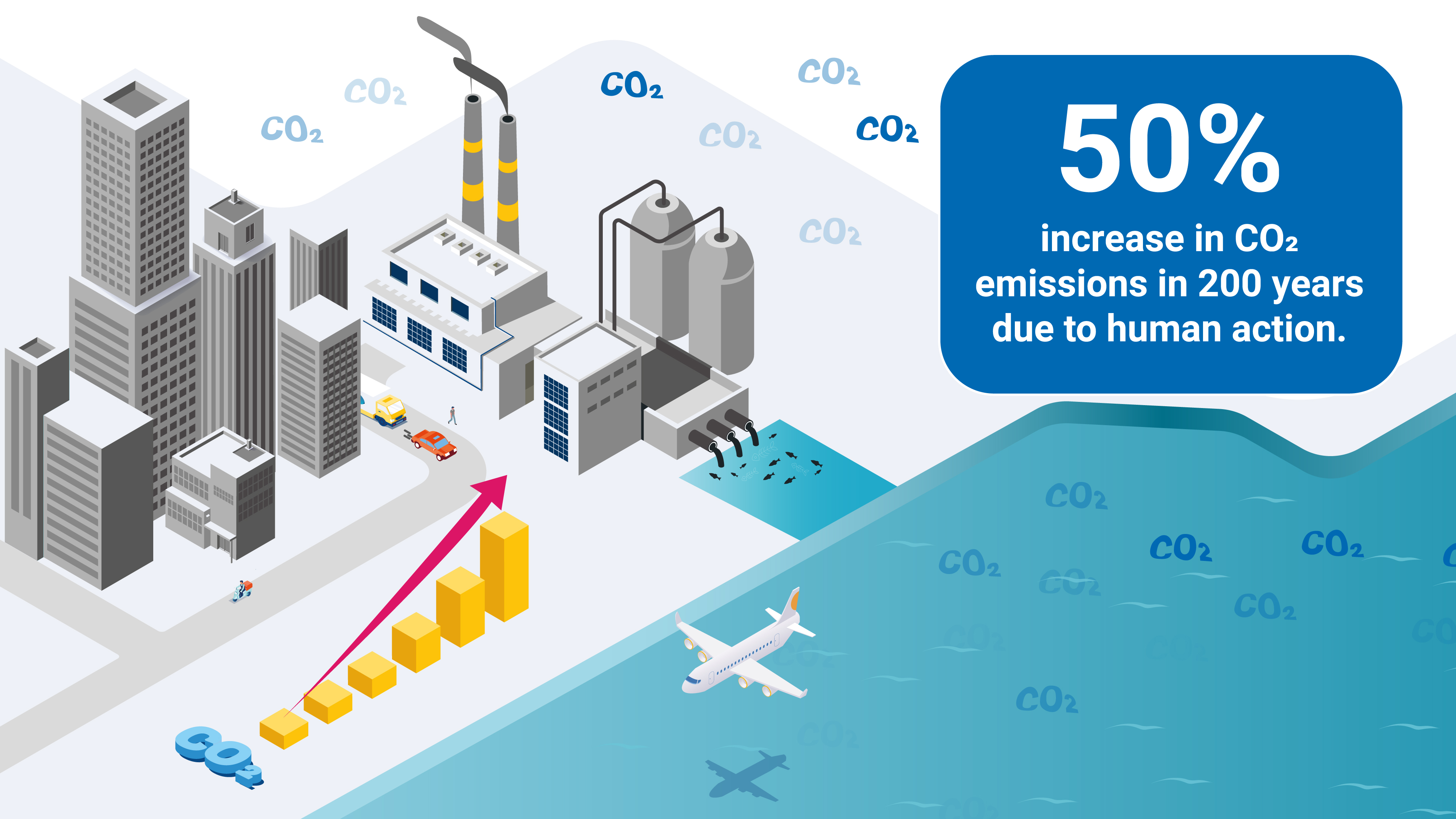 How Carbon Emissions Acidify Our Ocean