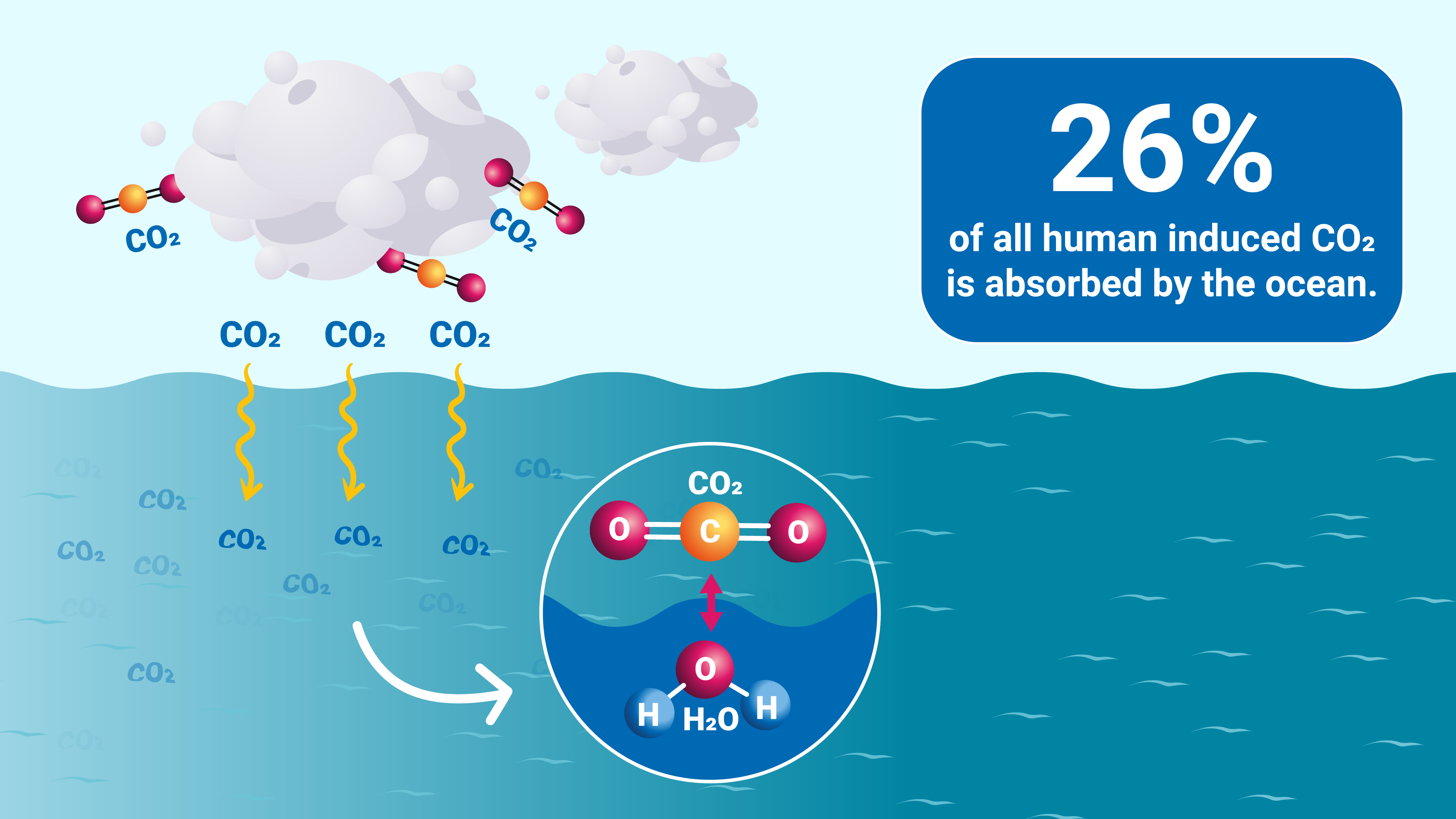 How Carbon Emissions Acidify Our Ocean