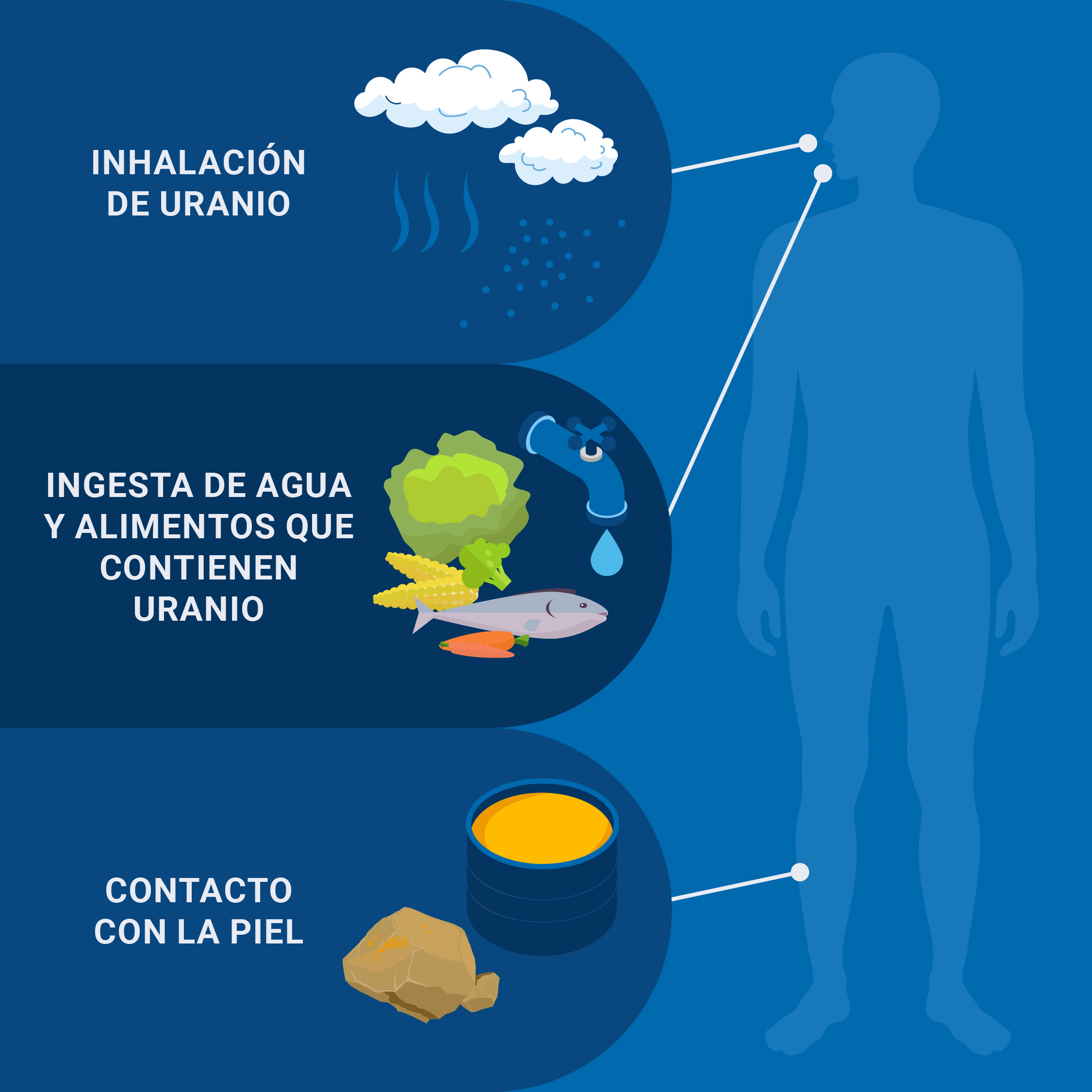 El cuerpo lleva la cuenta Resumen e infografía