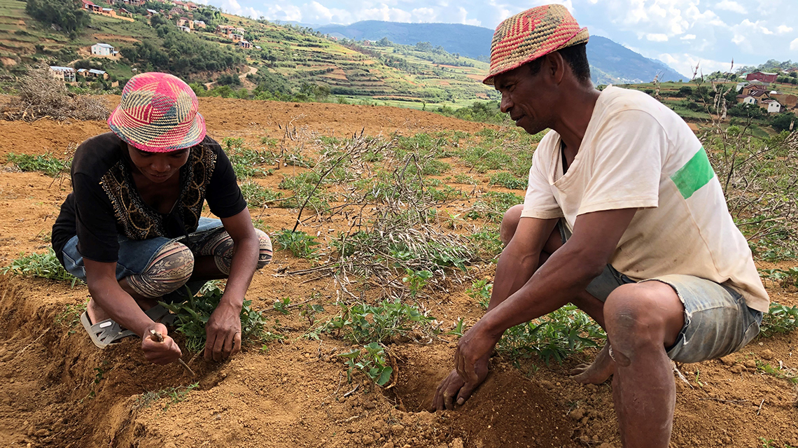 Land Degradation & Development, Environmental & Soil Science Journal