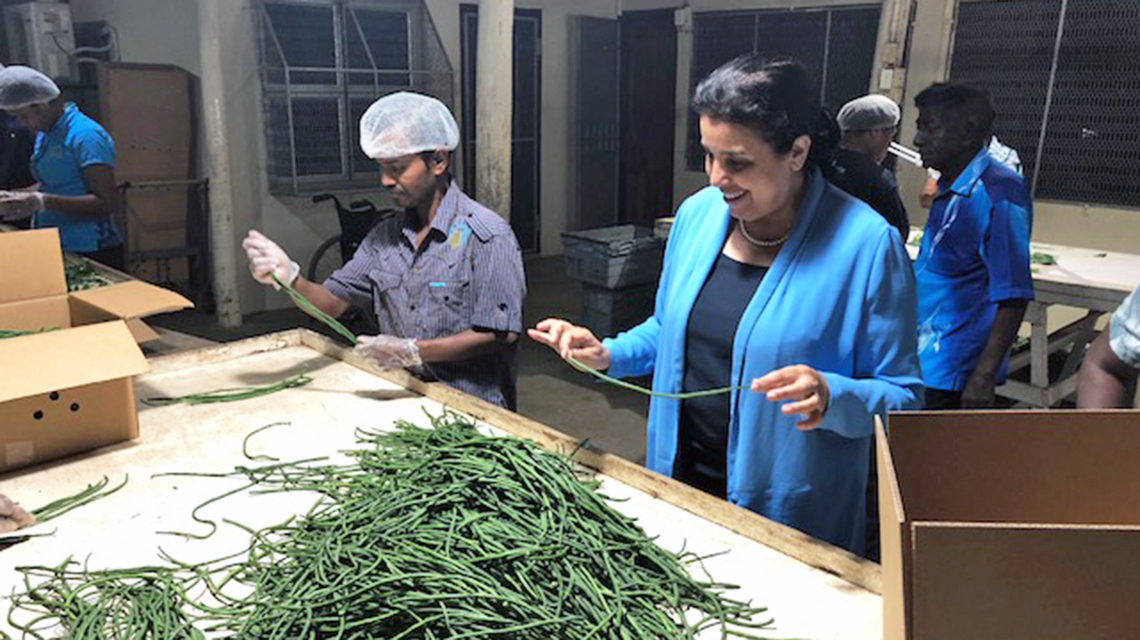 Strengthening Food Safety in the Pacific: Fijian Officials Welcome IAEA