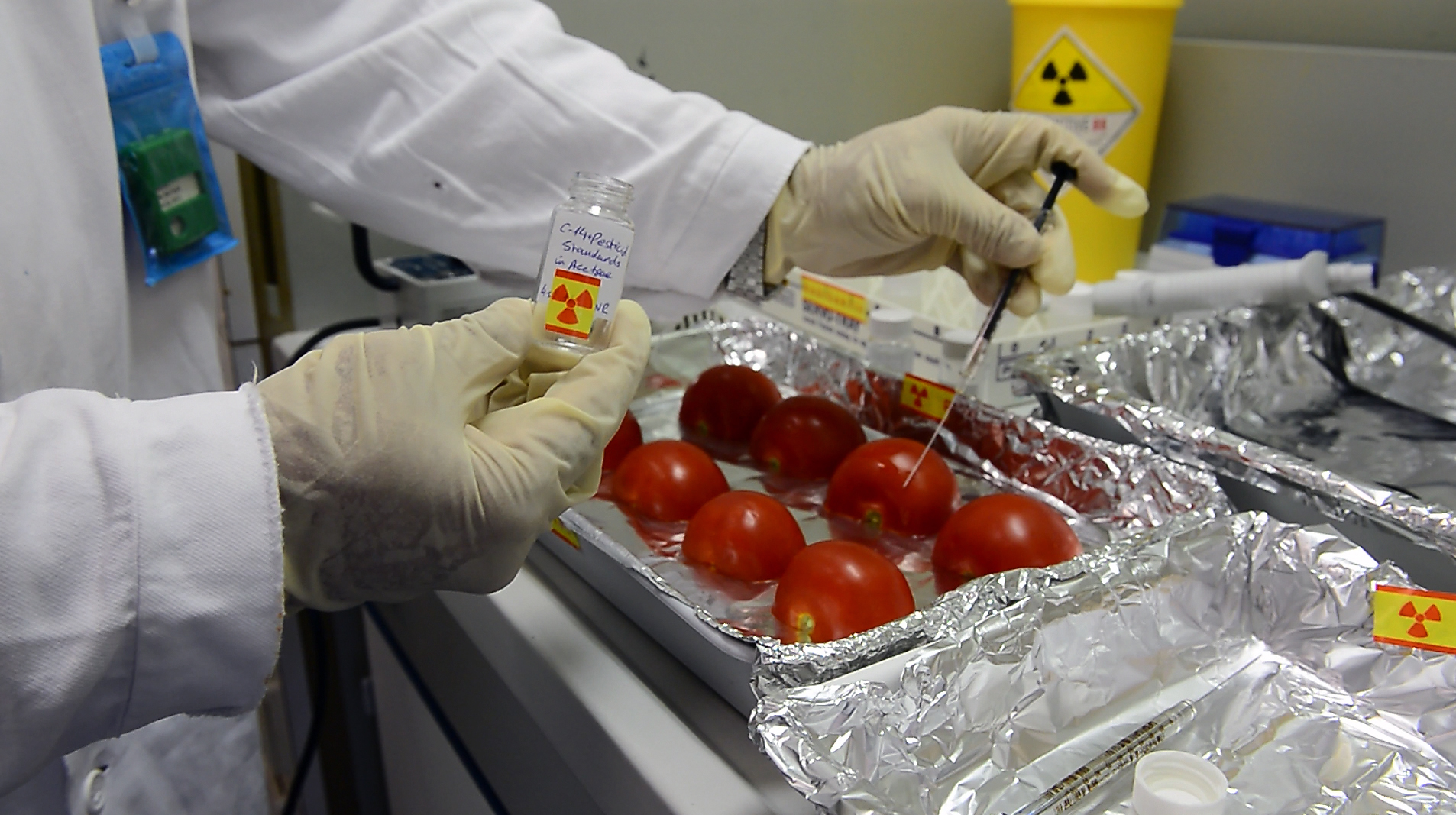 Nuclear Science for Food Safety