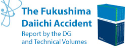 Fukushima Report