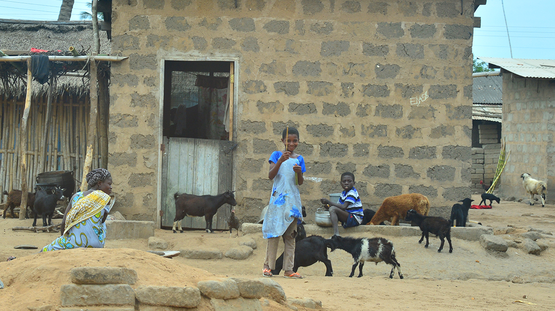Lesotho, Better Prepared to Fight Animal Diseases | IAEA Lesotho, Better Prepared to Fight Animal Diseases | IAEA