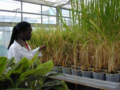 Supporting South-South Cooperation Through the IAEA&#039;s Technical