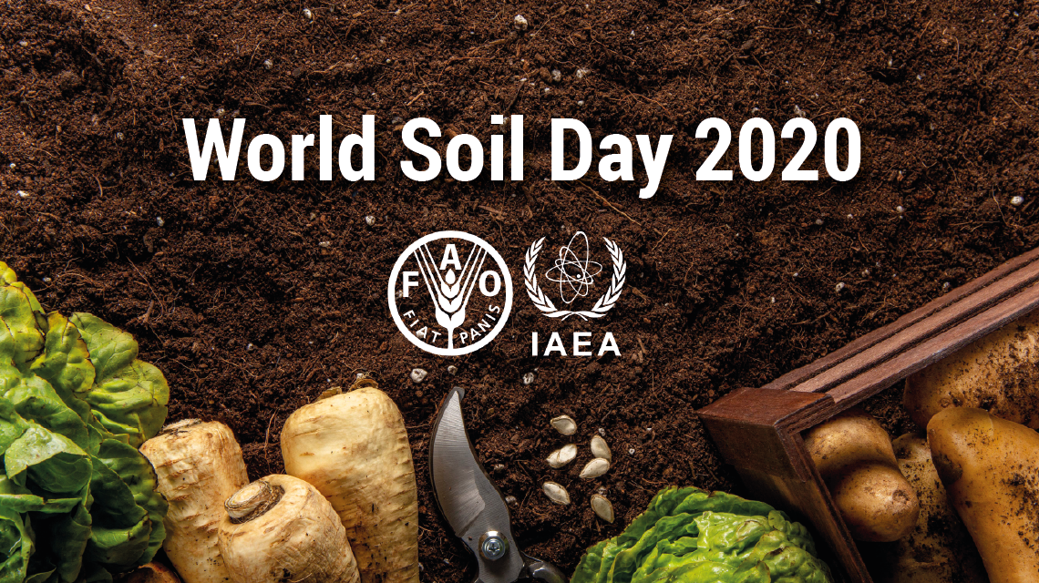 World Soil Day 2020 IAEA & FAO lay groundwork to 'Keep soil alive