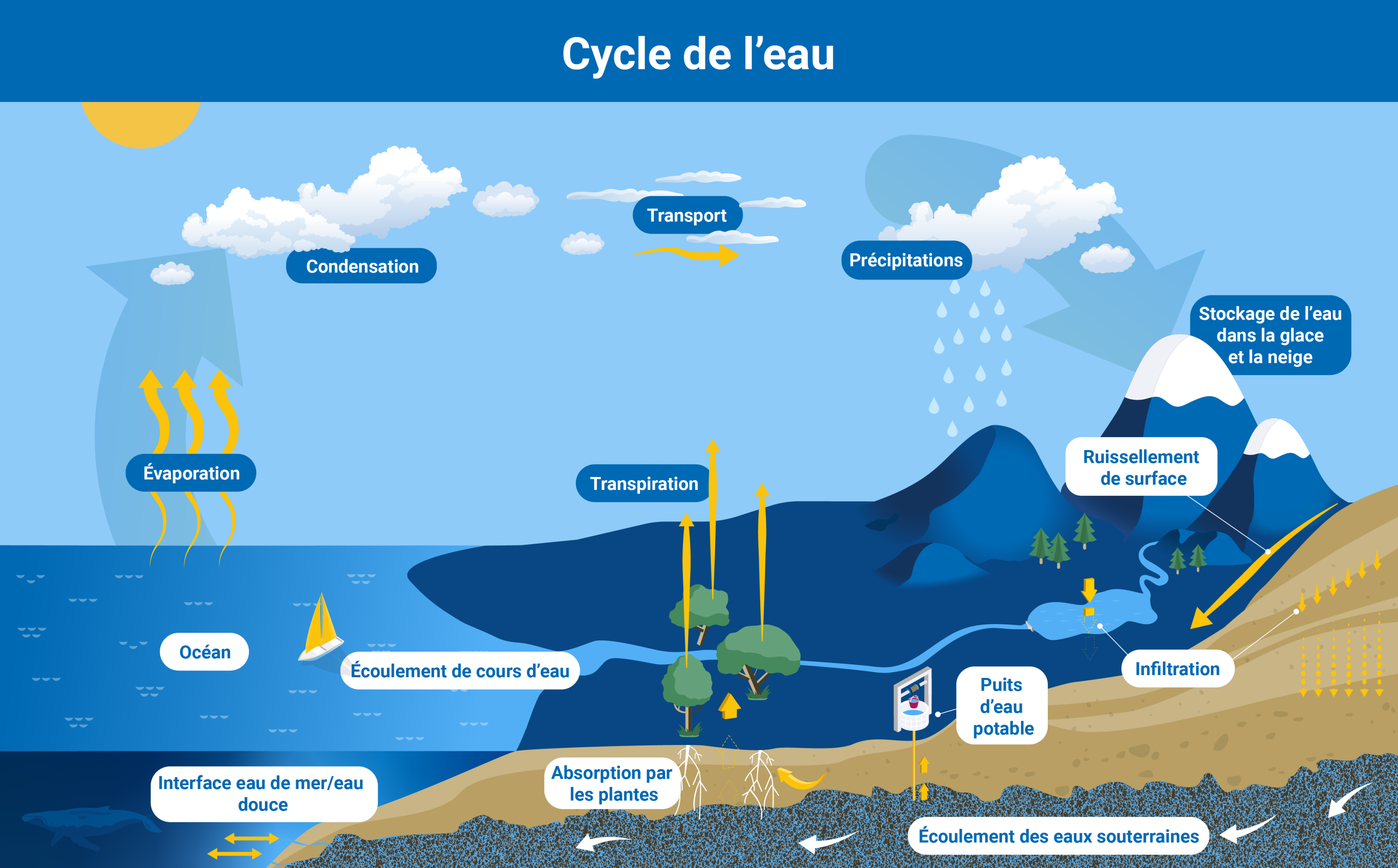 Comment les scientifiques évaluent-ils la pollution et la durabilité des  eaux souterraines ?