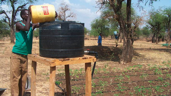 Drip irrigation in Kenya