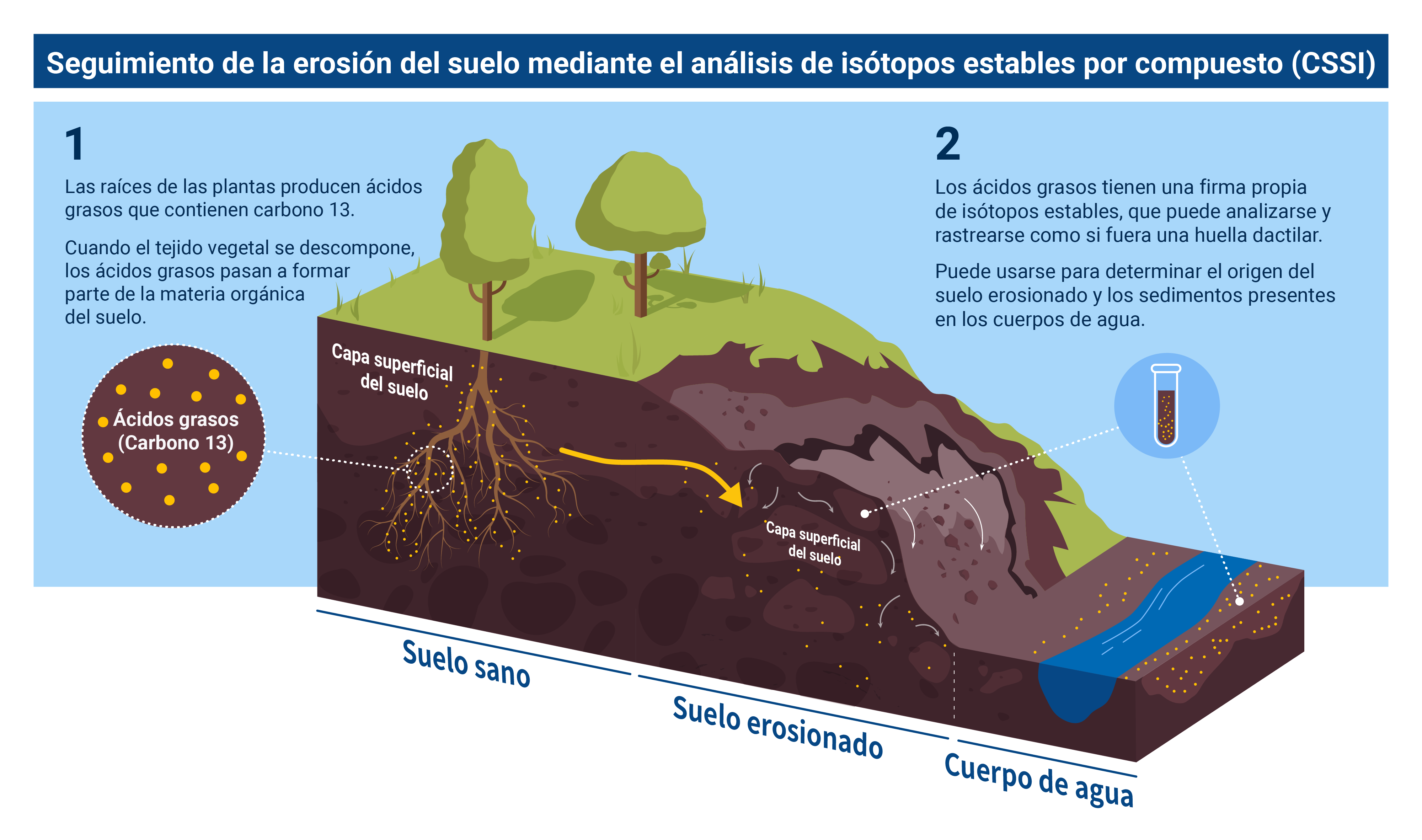 Qué es la erosión del suelo? ¿Cómo se puede estudiar y mitigar con técnicas  nucleares? | OIEA