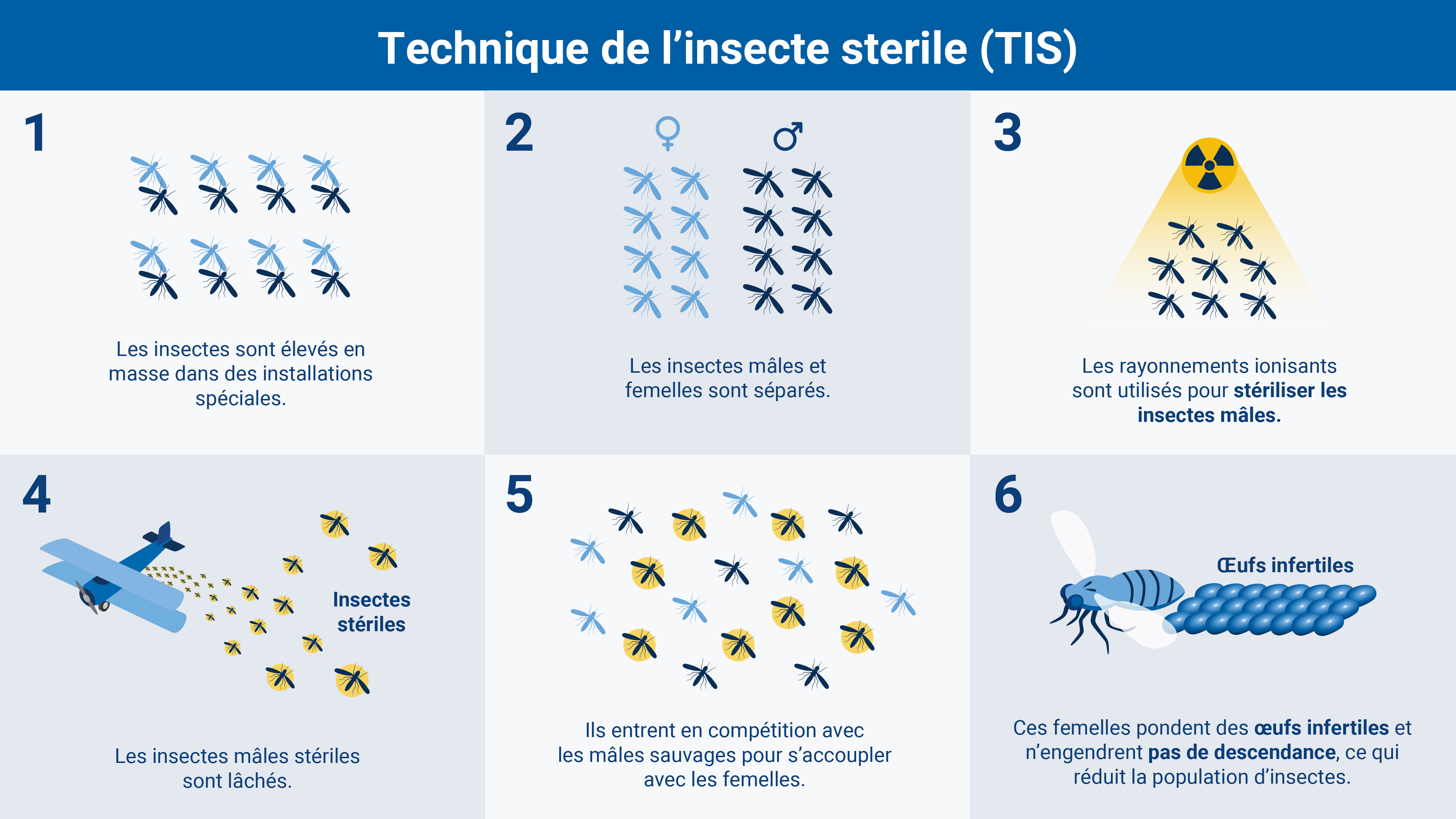 3 solutions naturelles pour le contrôle des insectes