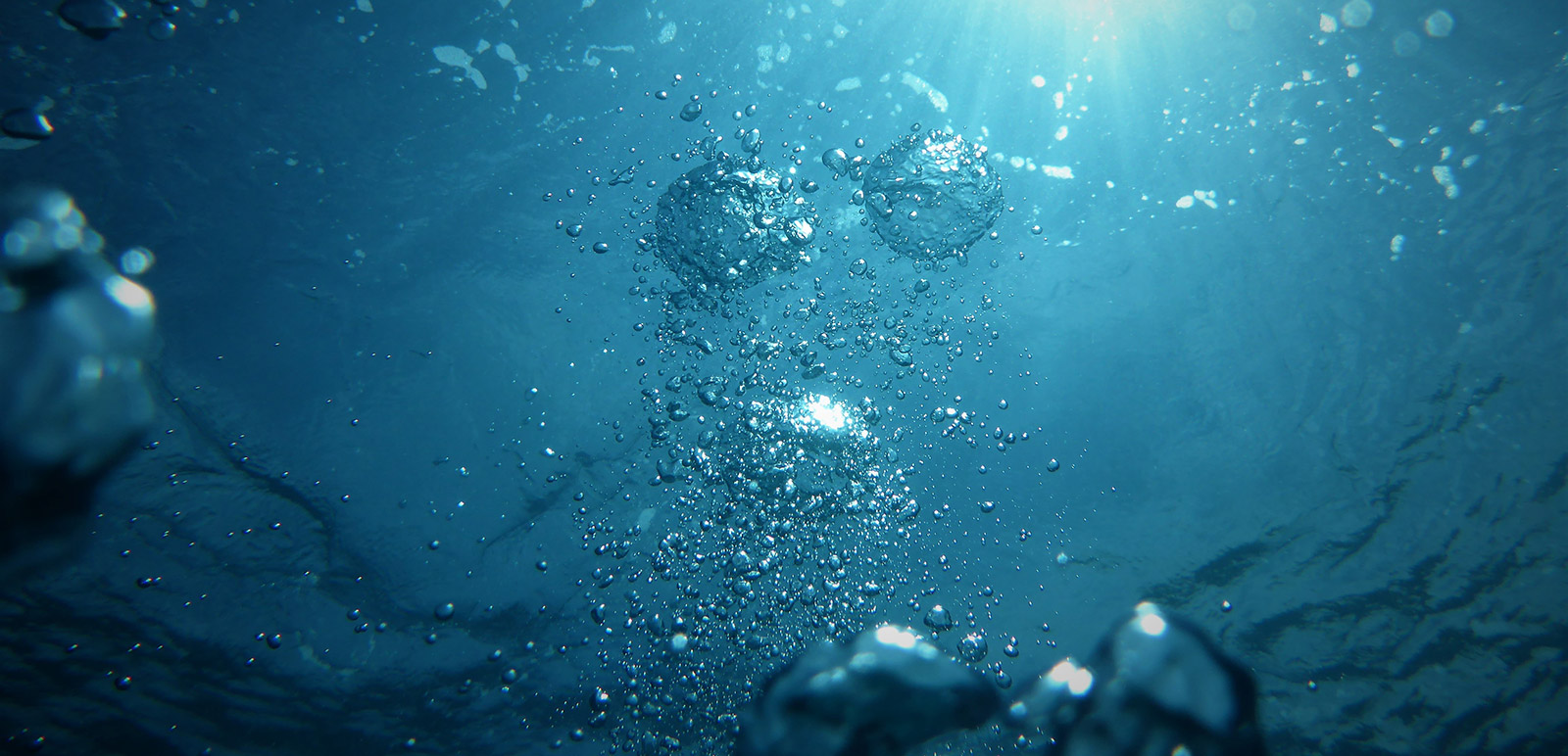 Fukushima Water Release