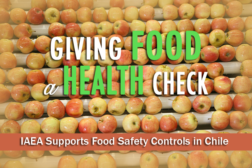 As the world population grows, so does demand for food, leading to an increase in the use of agrochemicals in farming. In most countries these chemicals are an important part of food production. But if they are not used properly, their residues can contaminate food.
<br /><br />
The IAEA works with over 70 countries world-wide to support the use of nuclear and isotopic techniques in their food control systems. One of these countries is Chile.