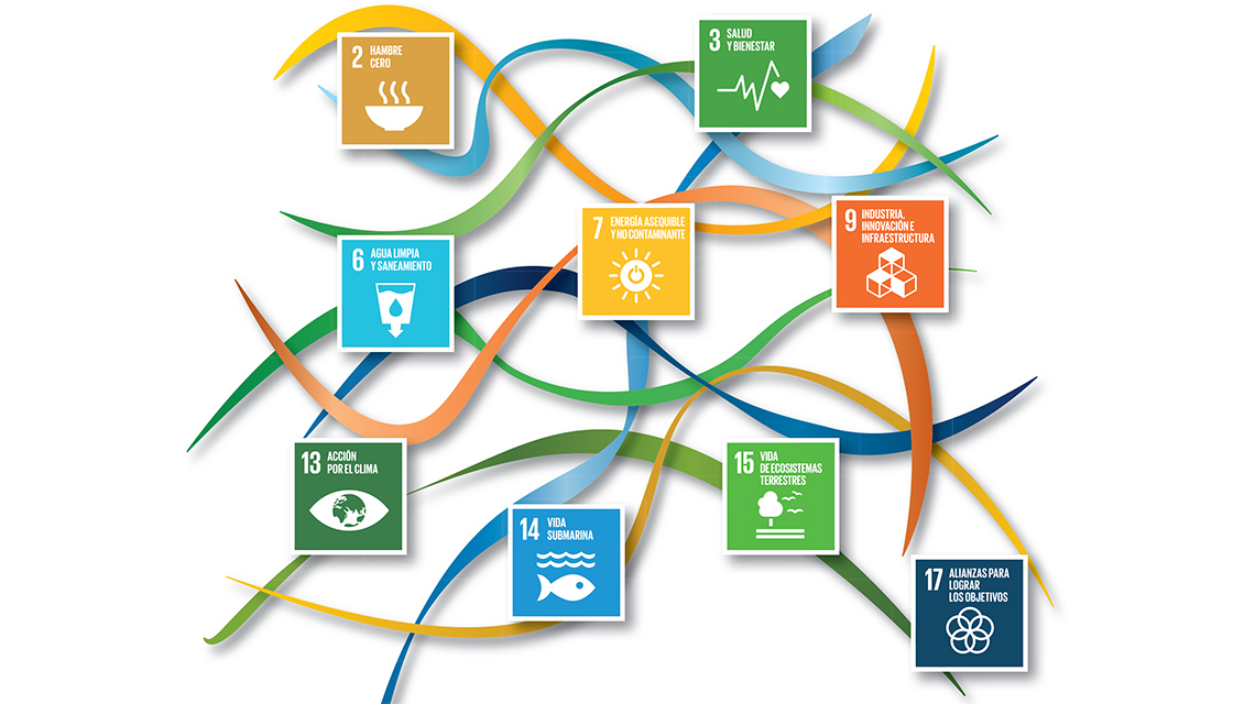 Отчет об устойчивом развитии 2023. Устойчивое развитие. Цели в области устойчивого развития. Цель 14 в области устойчивого развития. Цели в развитии устойчивого развития.