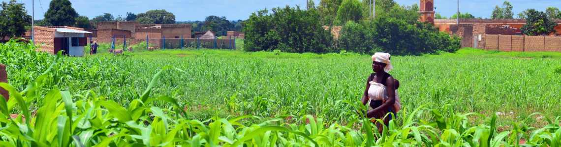 Climate smart agriculture. Burkina Faso