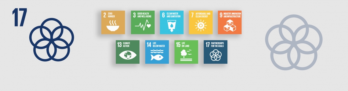 17 устойчивых целей оон. 17 Целей устойчивого развития ООН. Партнерство в интересах устойчивого развития цель 17. Цели устойчивого развития ООН 1. ЦУР ООН.