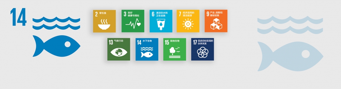 SDG-14-Chinese 
