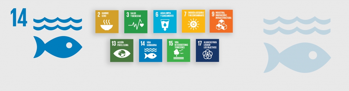 SDG-14-Spanish