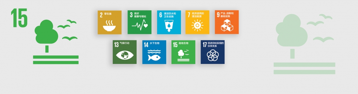 SDG-15-Chinese 