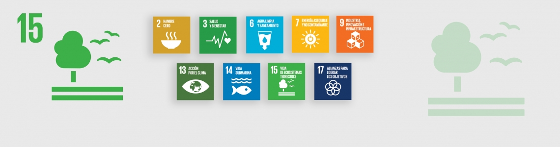 SDG-15-Spanish