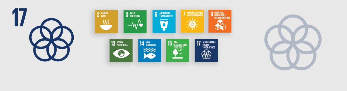 SDG-17-Spanish