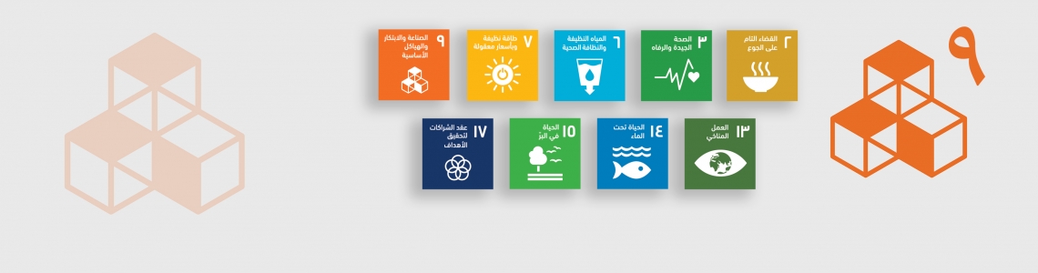 SDG-9-Arabic
