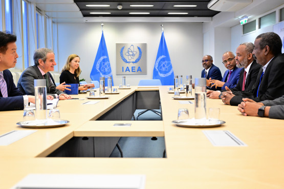 Rafael Mariano Grossi, IAEA Director-General, met with Dr. Haitham Mohamed Awadalla, Undersecretary of the Ministry of Health of Sudan, during his official visit to the Agency headquarters in Vienna, Austria. 9 July 2025.