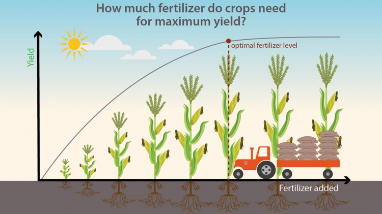 Stable Nitrogen Isotope Helps Scientists Optimize Water, Fertilizer Use