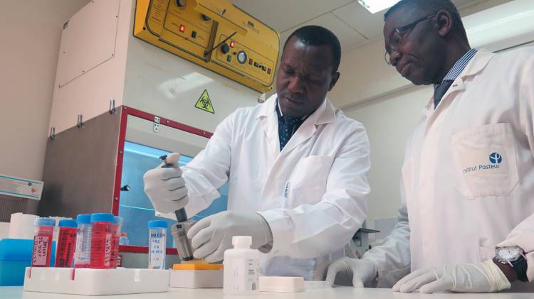 research veterinarians