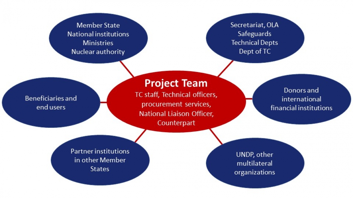 information technology project team roles