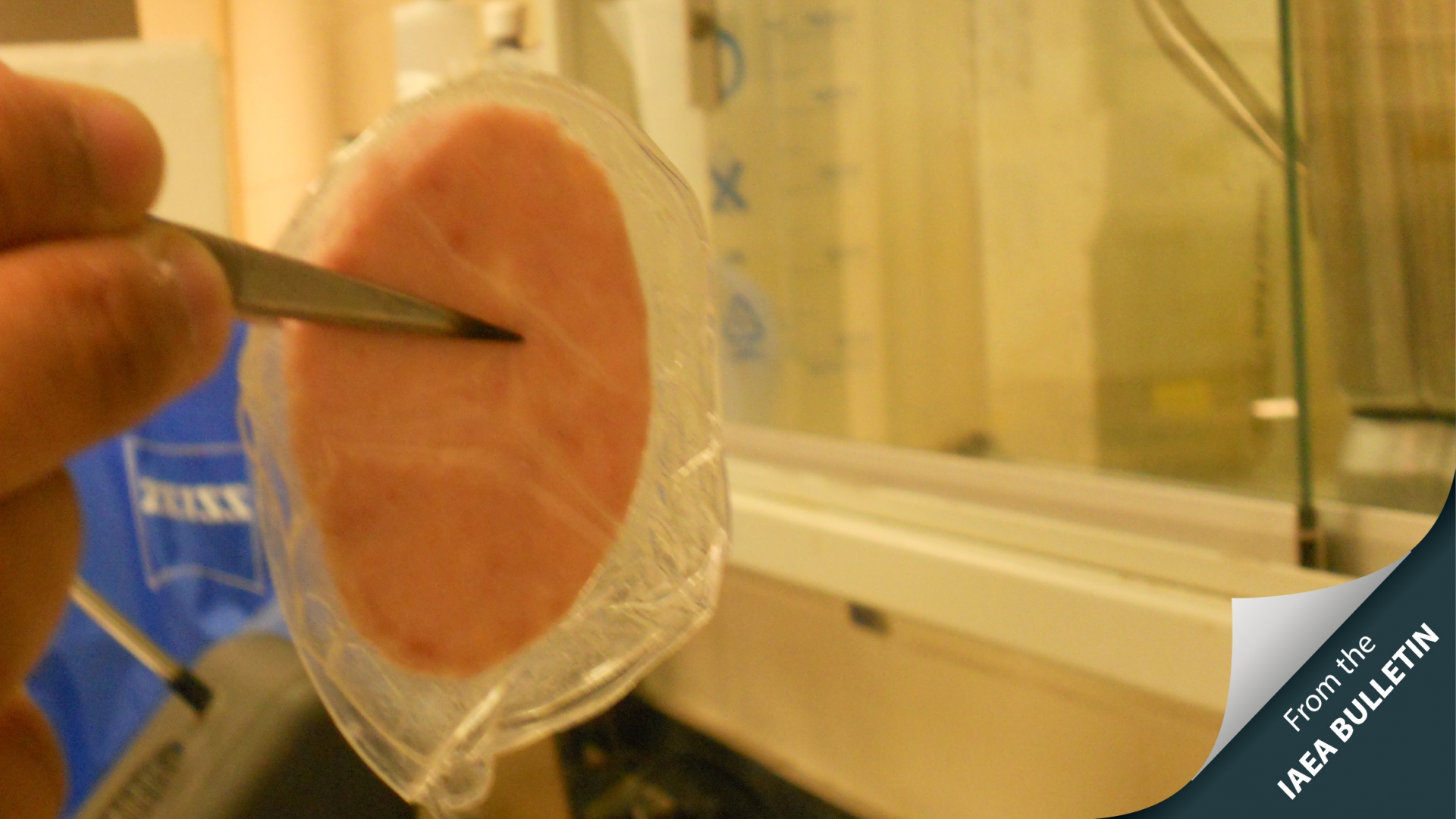 Can You Eat Irradiated Food Can You Eat Irradiated Food