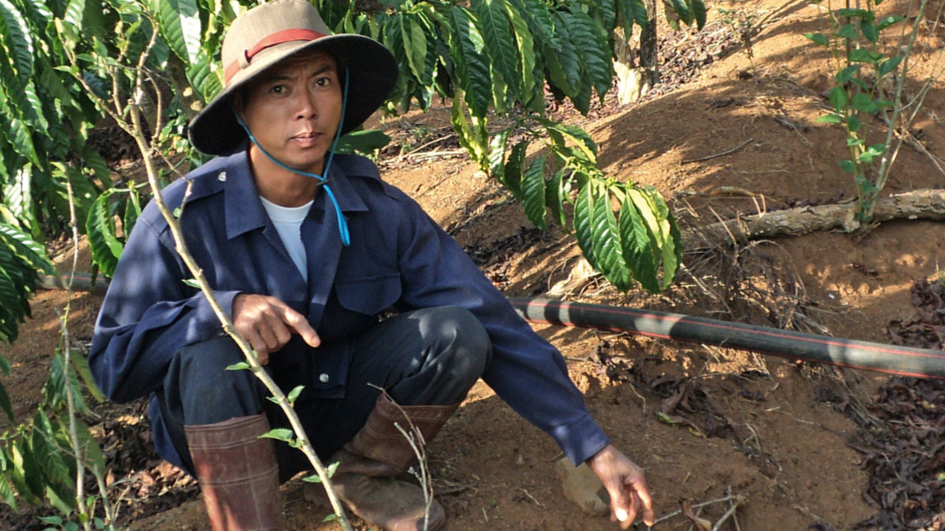 Viet Nam Tackles Soil Erosion With Nuclear Techniques Iaea Thanks To Nuclear Techniques Farmer Dao Thanh Canh Was Able To Control Soil Erosion On His Coffee Plantation Photo P S Haicentre For Environmental English As A Second Language Essay also Higher English Reflective Essay Hiv Essay Paper
