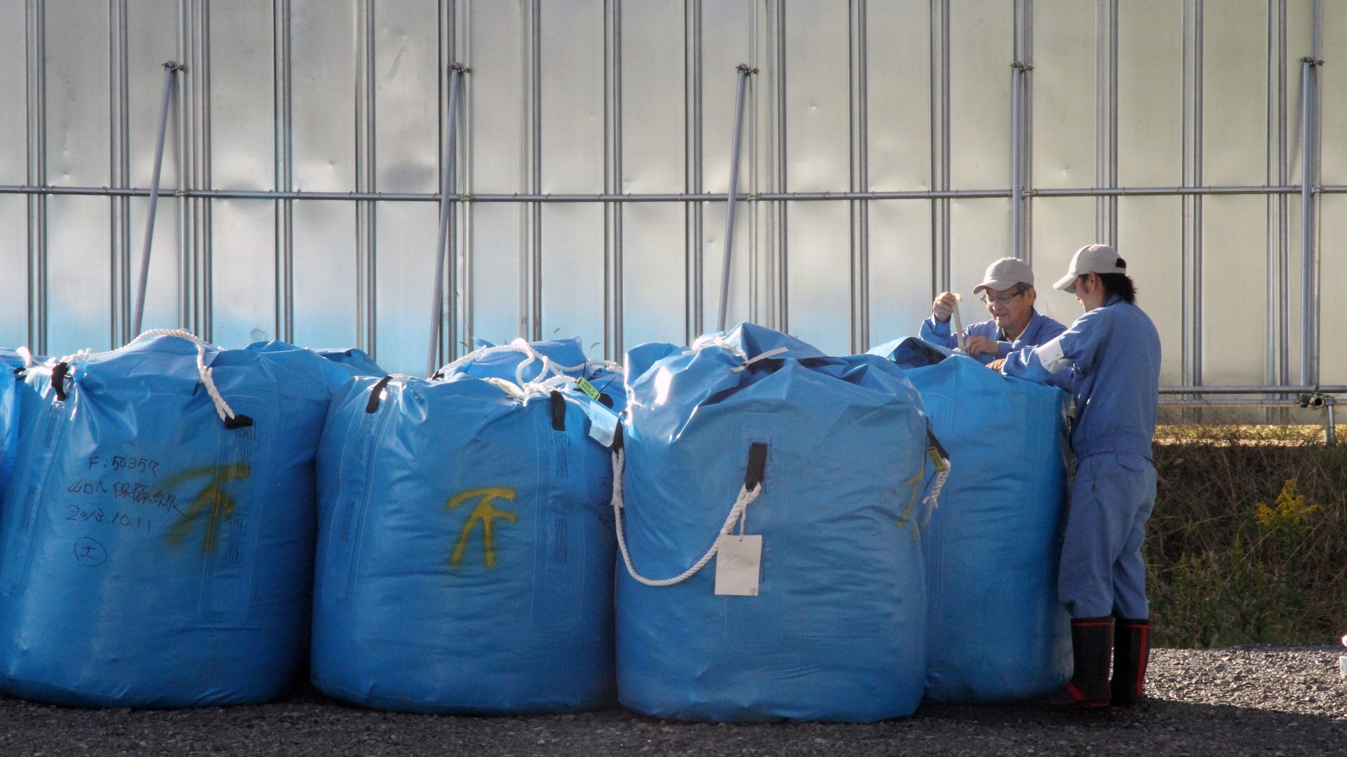 Fukushima Radiation