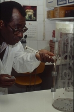 A specialty of the IAEA laboratory is pest control by the sterile insect technique, in which large numbers of insects are reared and sterilized before being released to mate with the pest population.  Scientist working on separation of males and female tsetse flies using a flytrap. 1993-1997. Please credit IAEA
