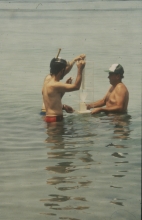 More than two years after the conflict in 1990-1991, scientists carried out an assessment of marine pollution stemming from the war during which 4-8 million barrels of crude oil were released directly into the sea from Kuwait’s Sea Island terminal. August 1993. Please credit IAEA/FOWLER Scott