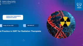 Best Practice in Image-Guided Radiotherapy (IGRT) for Radiation Therapists