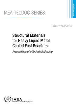 Structural Materials for Heavy Liquid Metal Cooled Fast Reactors
