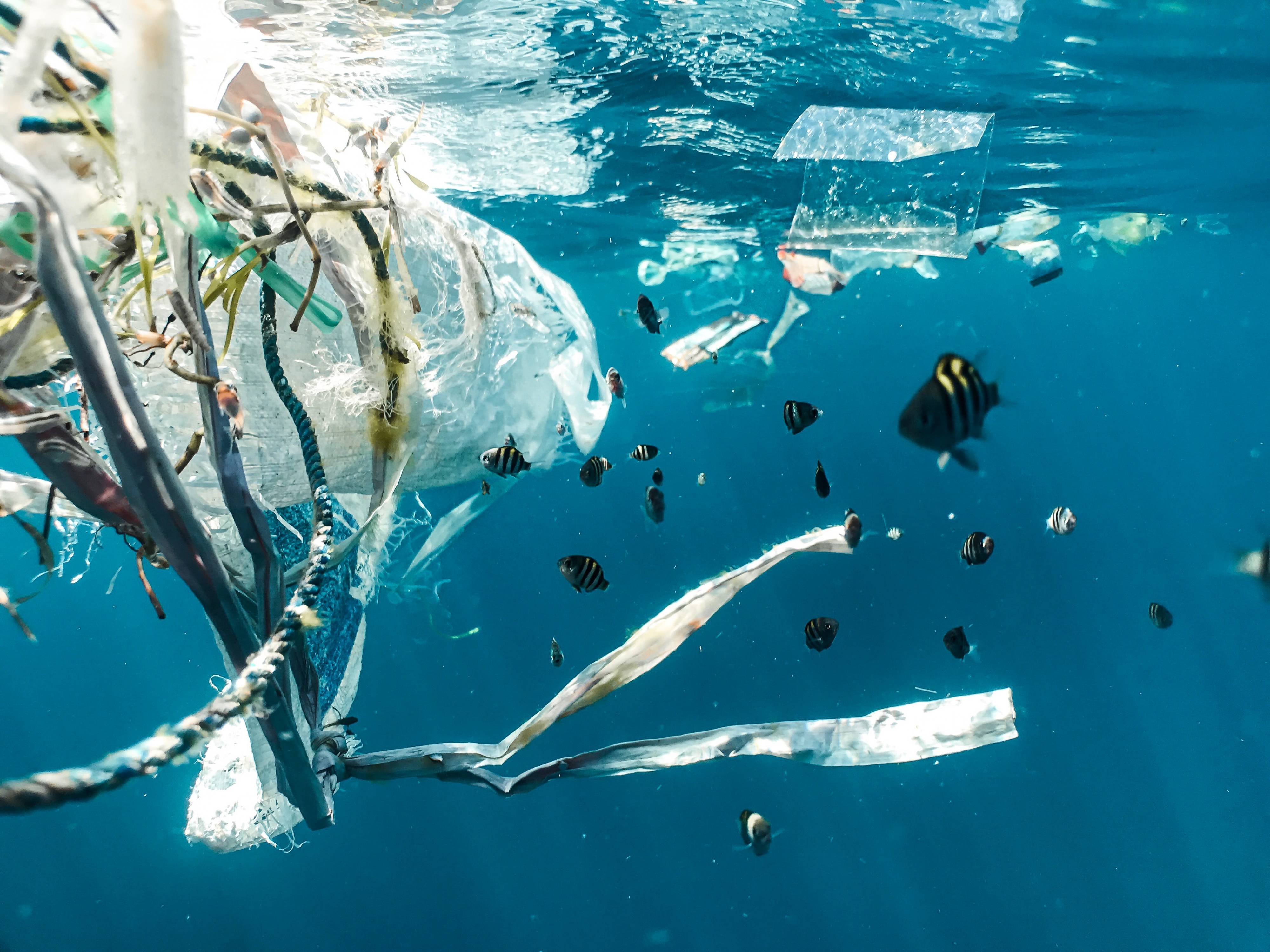 case study on plastic pollution in oceans