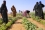 They have worked closely with IAEA-trained scientists from the ARC to set up and run more than 50 small-scale farms and home gardens for over 400 women. This is expected to be further expanded through more drip irrigation projects for over 1000 more women.