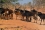 "Nuclear security measures, like detection at points of entry and exit, ensure that materials cannot be taken to non-peaceful uses and offers people the ability to visit our parks and wildlife destinations."