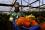 Bell peppers are grown inside enormous greenhouses that dot the Israeli side of the Arava Valley desert. A joint pest-control programme with neighbours Jordan and the Palestinian Authority has crippled the region's Medfly population and reduced farmers' reliance on insecticides.