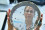 <strong>Do you know how nuclear science supports food security? </strong>
<br /><br />
The work of the IAEA’s Insect Pest Control Laboratory in Seibersdorf,  is crucial for protecting agriculture from invasive pests, by promoting the pesticide-free Sterile Insect Technique (SIT) as a solution. During a Mediterranean fruit fly outbreak in Mexico in 2021, the laboratory's expertise helped authorities to produce and release over 1.2 billion sterilized flies, protecting crops worth billions of dollars. This sustainable approach demonstrates how SIT can effectively address pest challenges, a key component of Atoms4Food, while reducing reliance on chemical treatments. Read more <a href="https://www.iaea.org/newscenter/pressreleases/nuclear-technique-helps-mexico-eradicate-an-invasive-insect-pest-outbreak-threatening-farmers-livelihoods">here</a>.
<br /><br />
A scientist working at the Insect Pest Control Laboratory, Department of Nuclear Science and Application at IAEA Seibersdorf, Austria (Photo: IAEA)