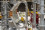 <strong>Do you know how nuclear data supports the future of fusion energy?</strong>
<br/><br />
The IAEA’s Nuclear Data Section provides critical atomic and molecular data essential for fusion energy research. This data supports advancements in plasma diagnostics and helps optimize fusion devices like tokamaks, which are now achieving fusion reactions thanks to stronger magnetic fields and improved materials. By enabling progress toward milestones such as pilot plant development, the IAEA’s efforts are helping to transition fusion from a distant dream to a viable energy solution for the future. Read more <a href="https://www.iaea.org/bulletin/fusion-ready-when-society-needs-it">here</a>. 
<br/><br />
The ST40 tokamak, developed and operated by a private fusion energy company, Tokamak Energy, in October 2020. (Photo: Tokamak Energy)