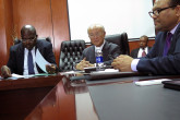 IAEA Director General Yukiya Amano met with Dr Chitalu Chilufya, Minister of Health, during his official visit to Zambia. 23 January 2018