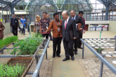 IAEA Director General Yukiya Amano visits the Plant Mutation Breeding Collaborating Centre CIRA-BATAN, during his official visit to Jakarta, Indonesia.  6 February 2018
