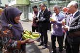 Together with the other Indonesian officials, IAEA Director General Yukiya Amano samples a banana, harvested at the Plant Mutation Breeding Collaborating Centre CIRA-BATAN, during his official visit to Jakarta, Indonesia.  6 February 2018